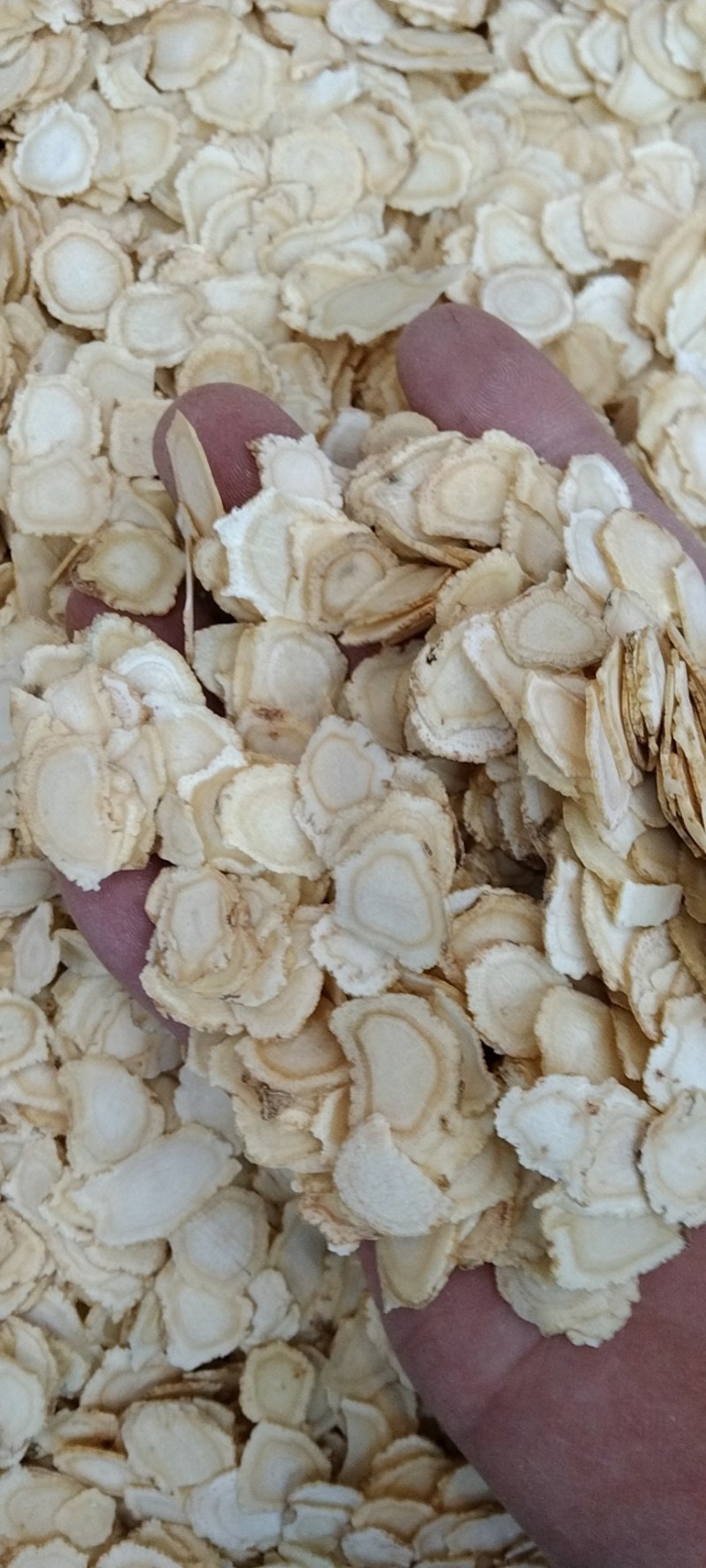 西洋参，常年批发供应各种规格西洋参药食同源中药材