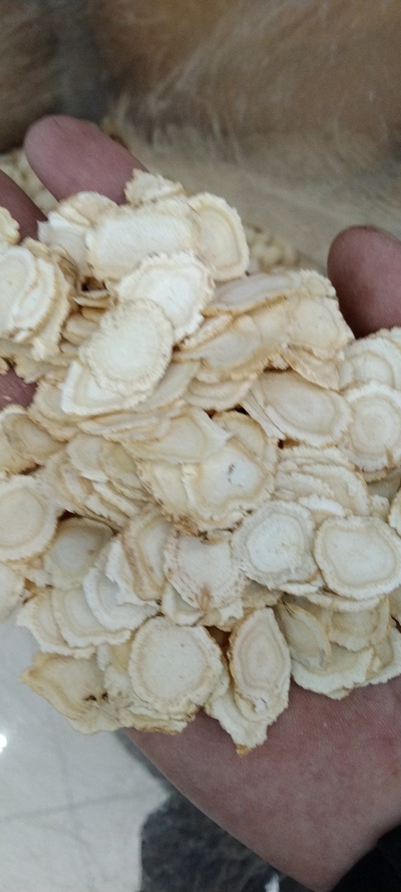 西洋参，常年批发供应各种规格西洋参药食同源中药材