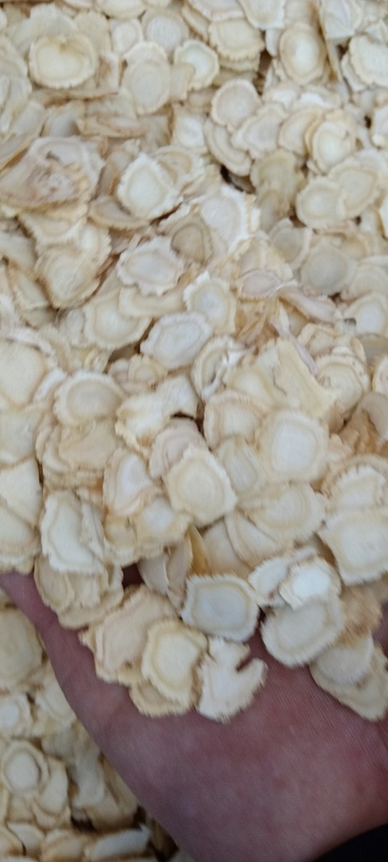 西洋参，常年批发供应各种规格西洋参药食同源中药材