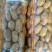 荷兰十五土豆黄皮黄心大量出库中质量保证可全国发货