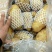 荷兰十五土豆黄皮黄心大量出库中质量保证可全国发货