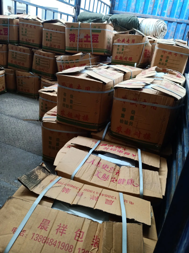 荷兰十五土豆黄皮黄心大量出库中质量保证可全国发货
