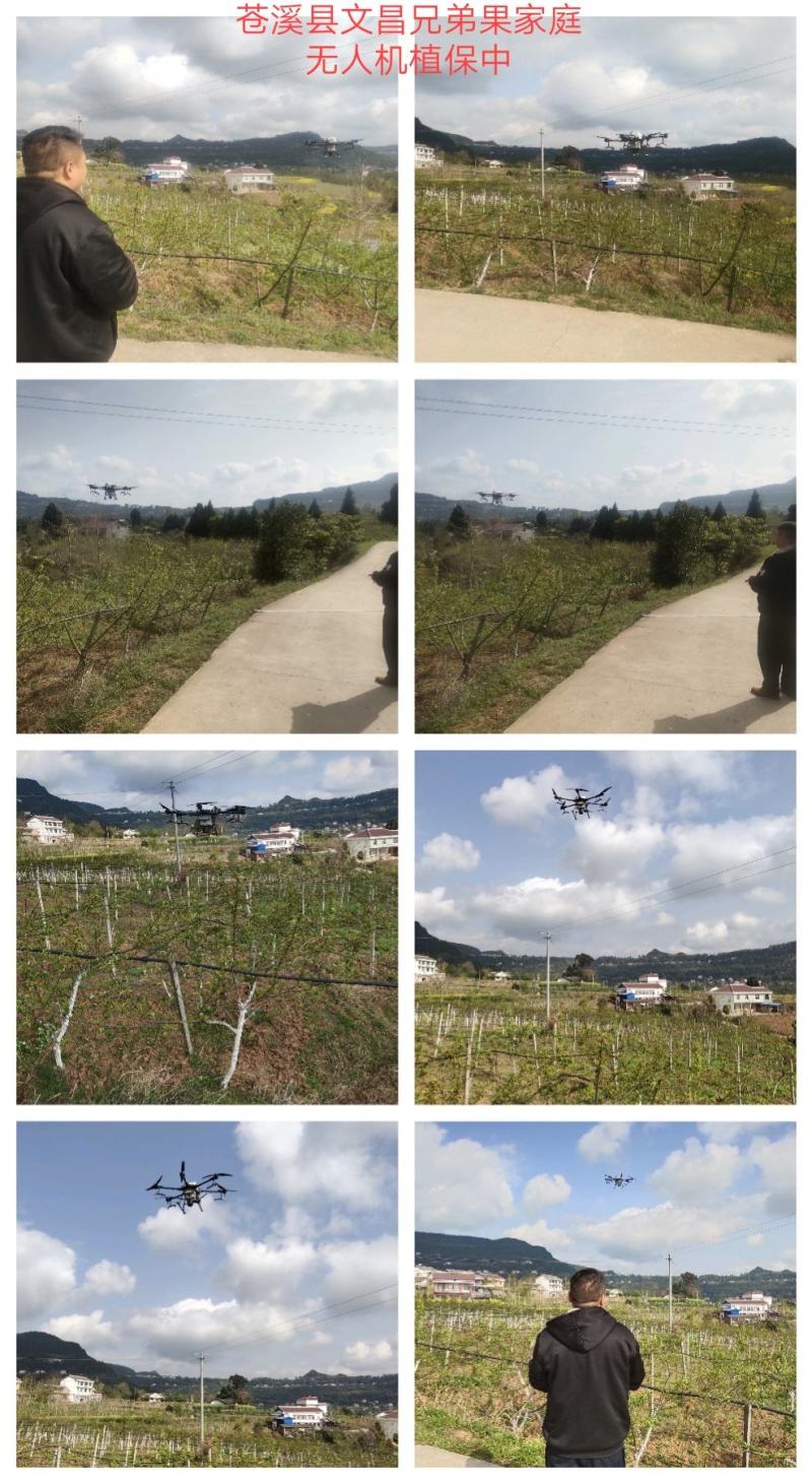 无人机植保打农药水稻小麦果树病虫害防治省时省事又省力