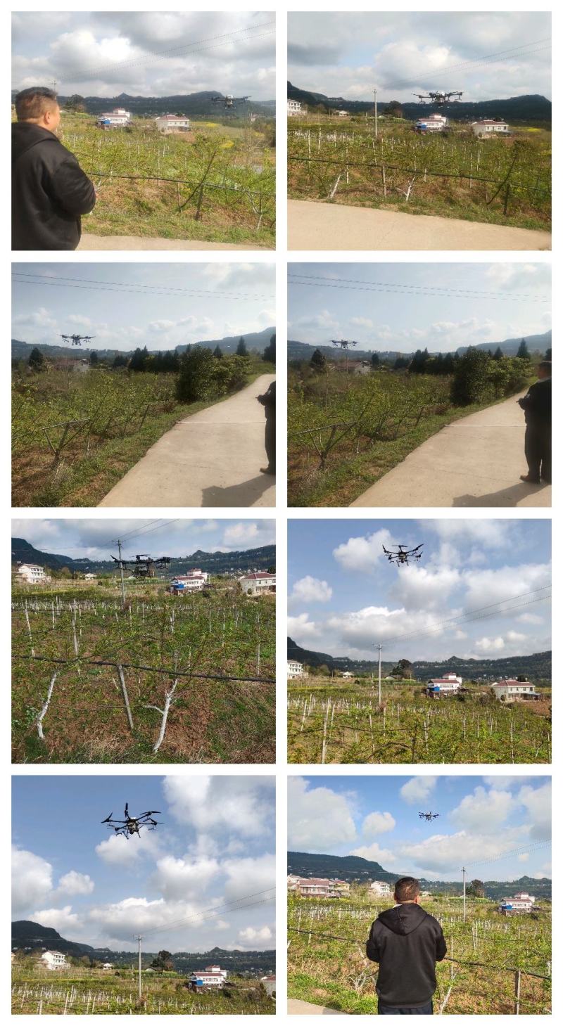 无人机植保打农药水稻小麦果树病虫害防治省时省事又省力