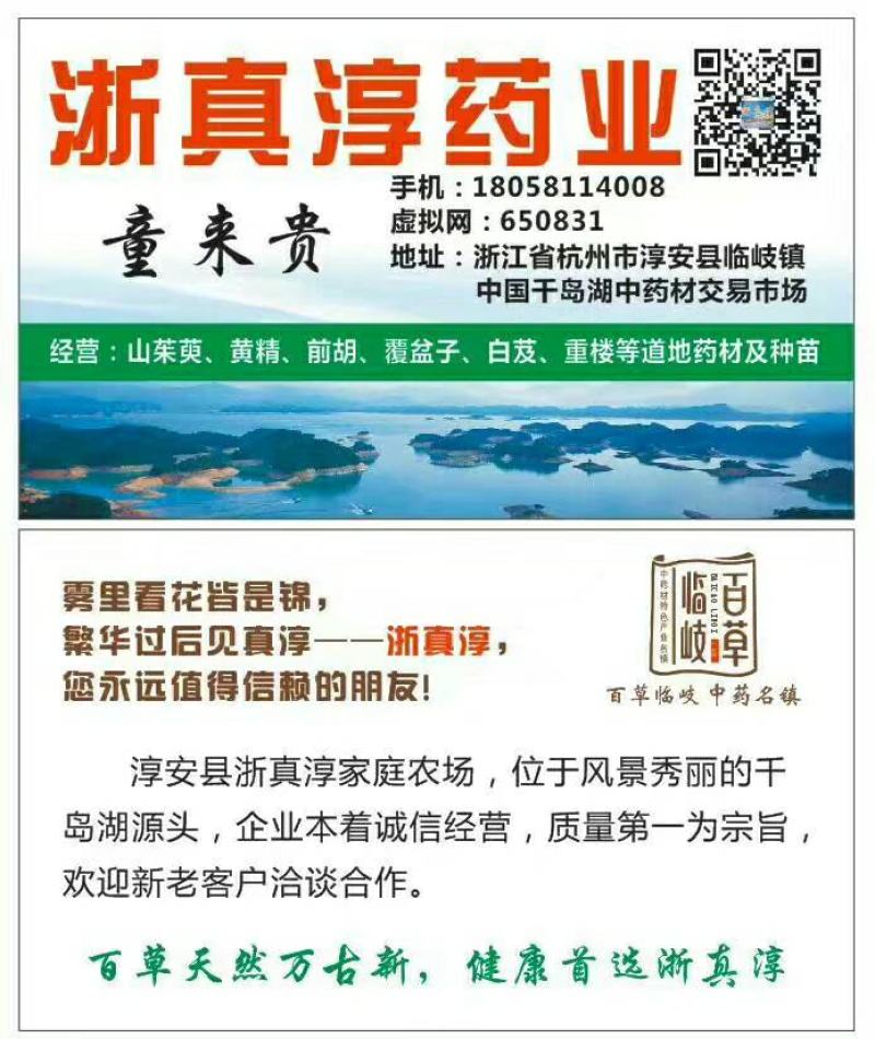 浙江中药材山茱萸供应