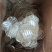 【推荐】菏泽农家特产红薯粉皮绿豆粉皮正宗老滋味商超电商