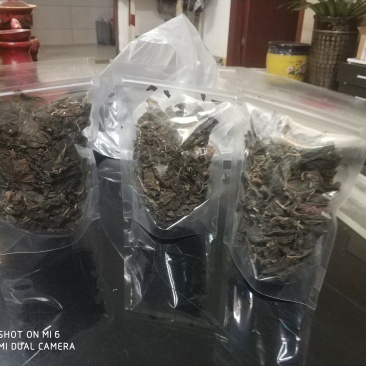 鲜嫩藤三七干叶全国包邮