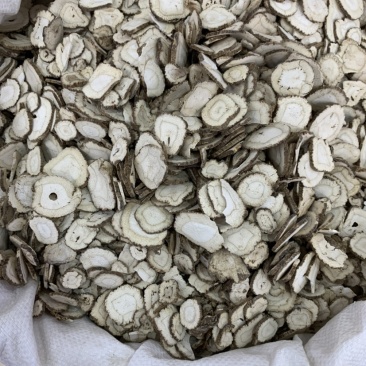 白芷产地直销大货批各种规格无硫无添加