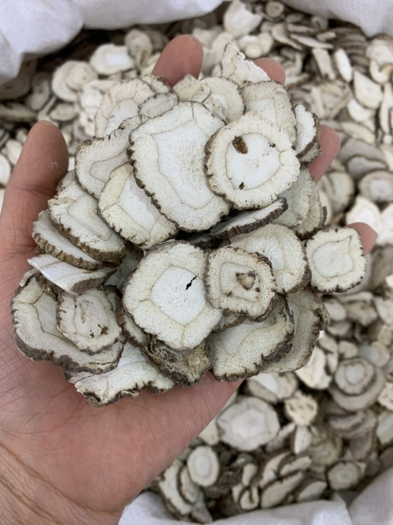 白芷产地直销大货批各种规格无硫无添加