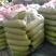 河南西葫芦，小瓜精品绿皮西葫芦，颜色好个头匀称！大量供应
