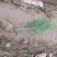 联系我营养袋侧柏高度15-50营养袋土球苗裸根都有货