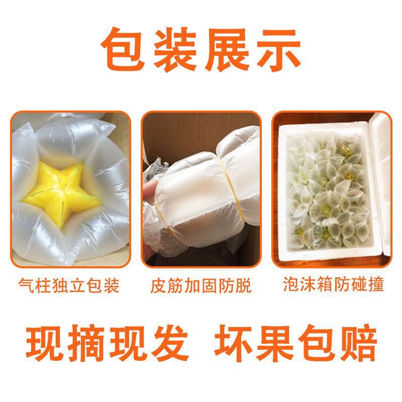 【一件代发】老树杨桃水果新鲜现摘现发下河杨桃整箱超值包邮