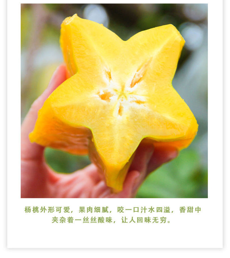 【一件代发】老树杨桃水果新鲜现摘现发下河杨桃整箱超值包邮