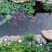 养殖防渗膜土工膜藕池专用黑膜沼气池垃圾覆盖填埋土工膜