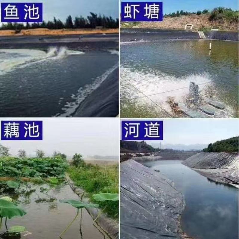 养殖防渗膜土工膜藕池专用黑膜沼气池垃圾覆盖填埋土工膜