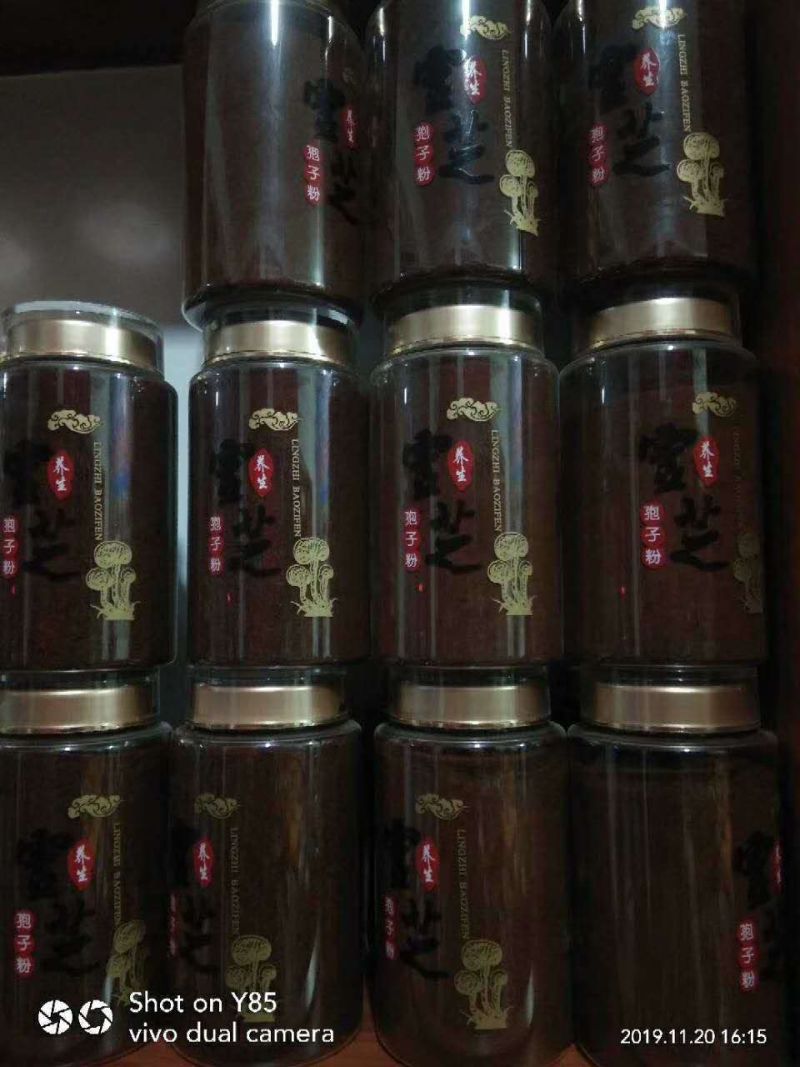 【热卖爆款】长白山灵芝孢子粉！250g诚招代理一件代发