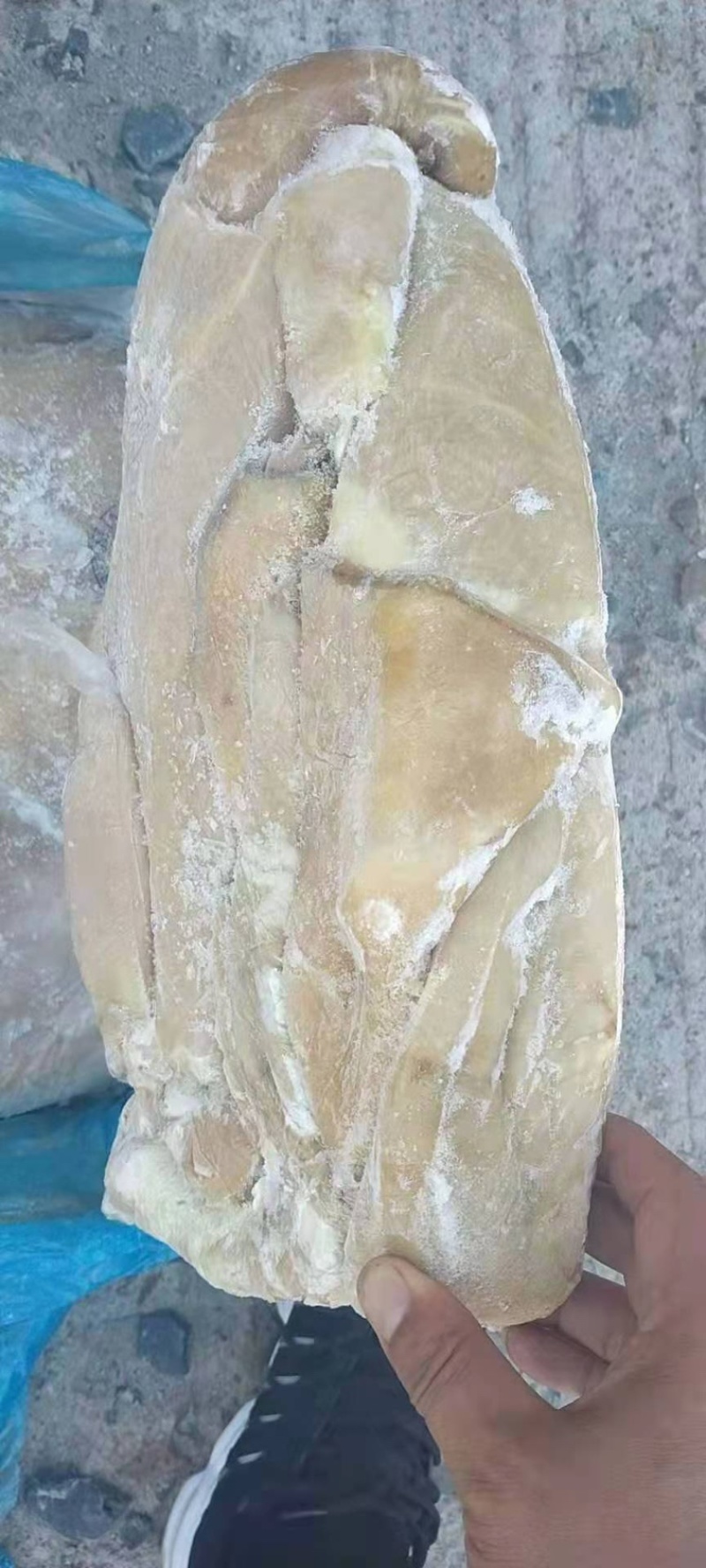 牛肚澳洲180片肚
