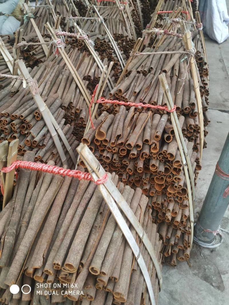 广东德庆肉桂桂皮干货，今年新货批发零售一件代发
