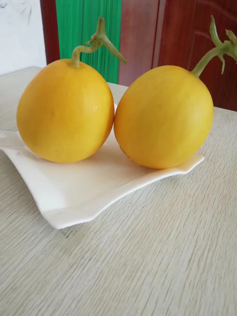 【火爆热销】甜瓜黄河蜜黄皮红肉白肉产地直销一件代发