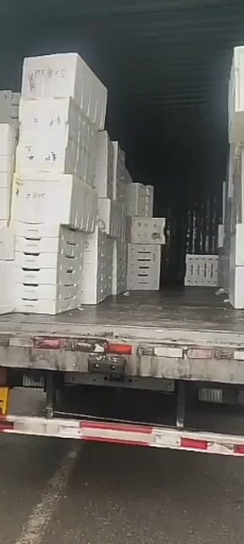 1蓝莓基地各类品种供应全国空运做配送当天到货