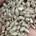 精品油葵仁，适合榨油，做食品用，物美价廉出油62斤