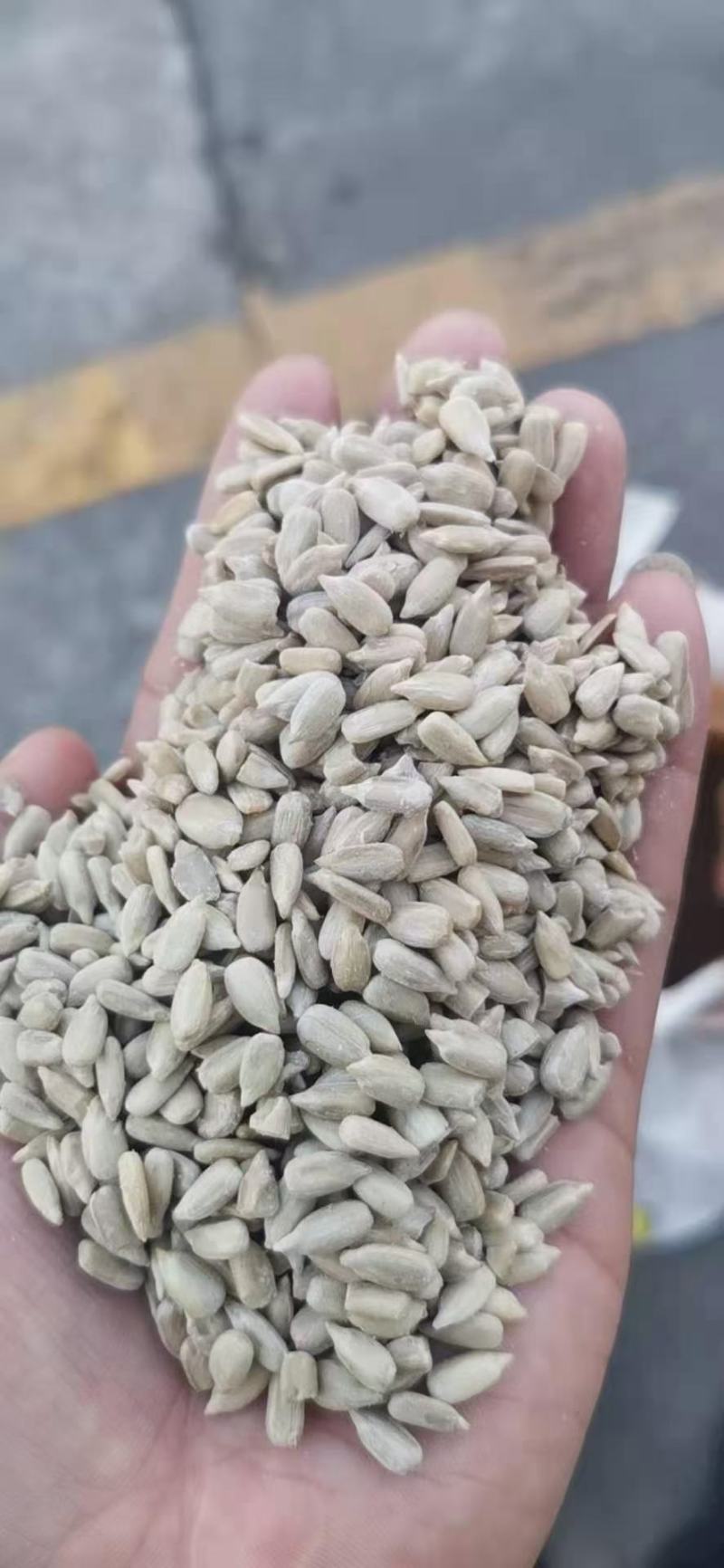 精品油葵仁，适合榨油，做食品用，物美价廉出油62斤