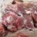 牦牛肉，黄牛肉！肚子，欢迎来电