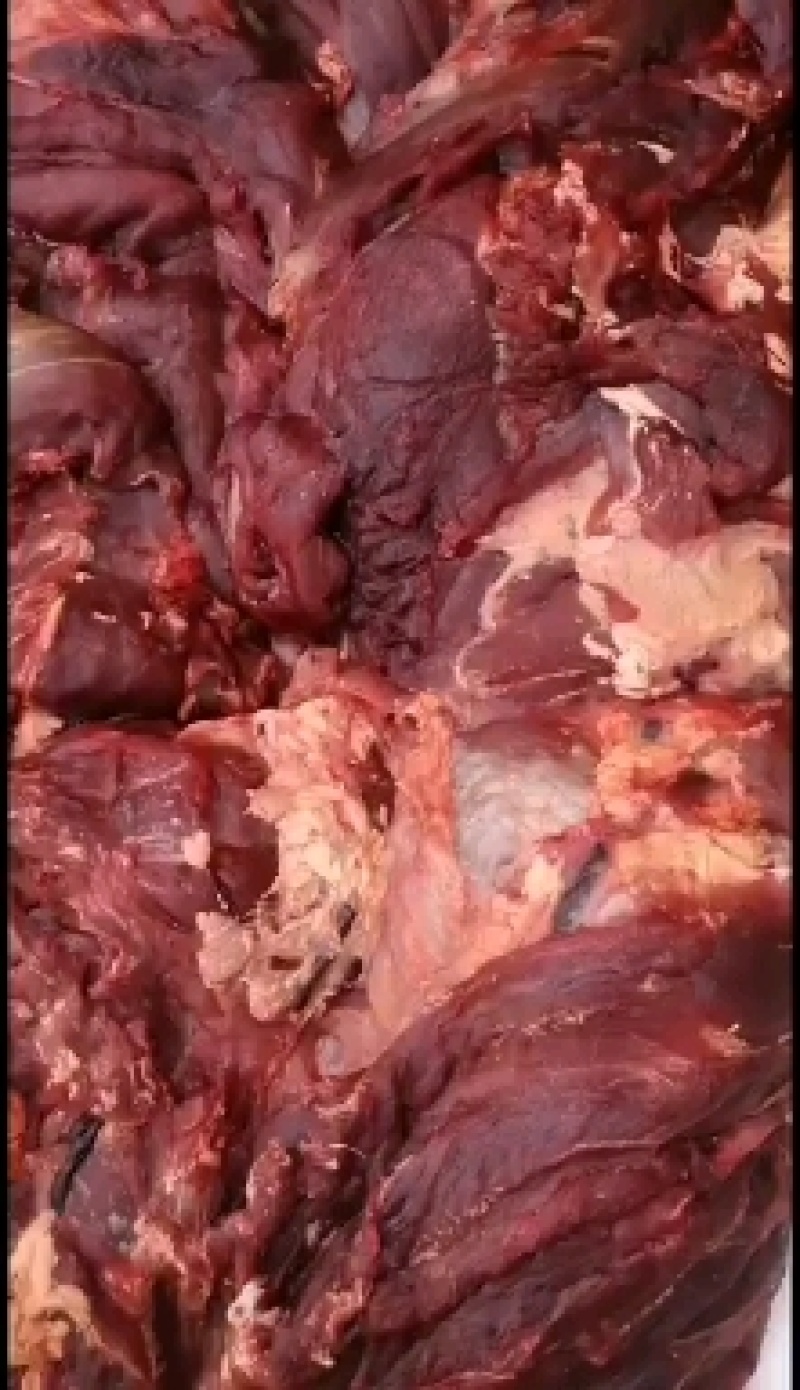 牦牛肉，黄牛肉！肚子，欢迎来电