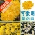 金丝黄菊苗婺源菊花苗免费提供种植技术基地直销包成活