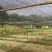 蚯蚓（用途垂钓鱼饵、蚯蚓养殖种苗、特养水产饲喂）