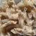 熟蹄筋新鲜生冷冻鲜牛筋熟四川火锅食材菜品整件批发烧烤干锅