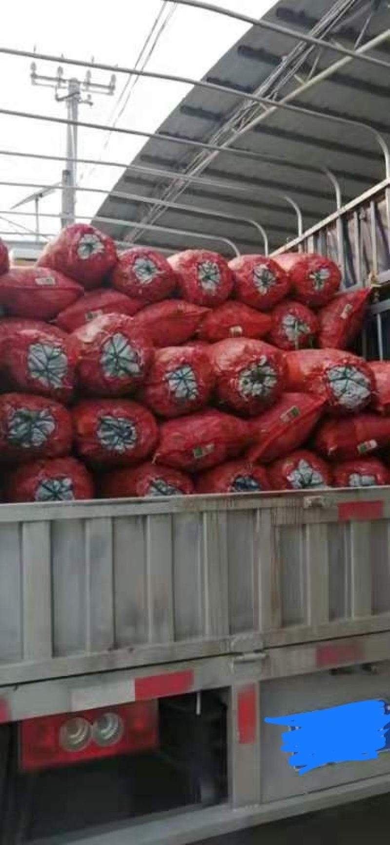 上市了老板快下手哦