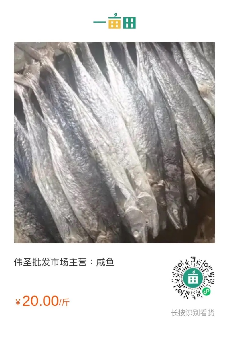 主营：冰鲜实肉咸鱼油炸更美味