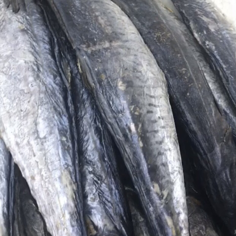 主营：冰鲜实肉咸鱼油炸更美味