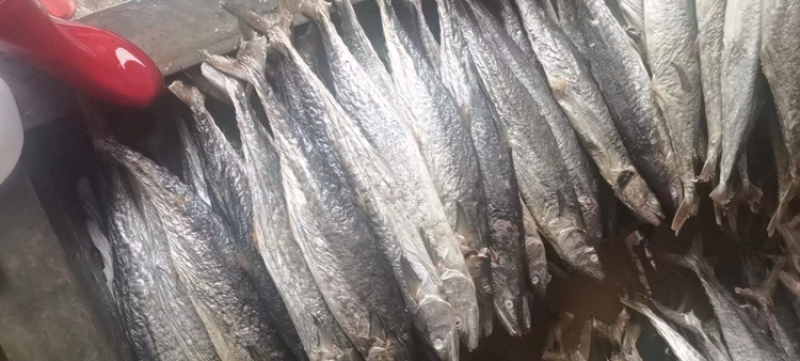 主营：冰鲜实肉咸鱼油炸更美味