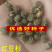 红豆杉种子芽率95赠送催芽药剂可货到付款包邮