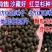 红豆杉种子芽率95赠送催芽药剂可货到付款包邮