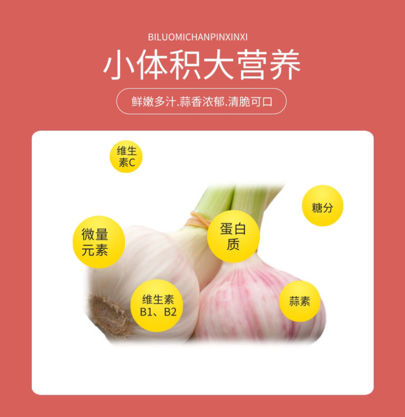 新鲜大蒜云南紫皮大蒜基地直销批发