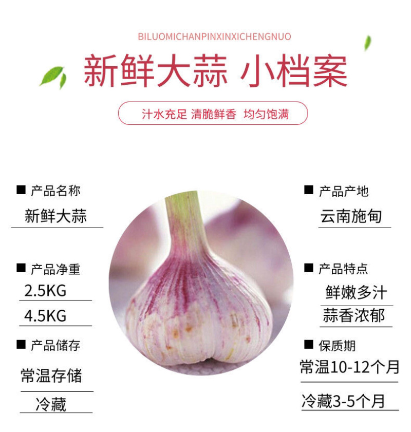 新鲜大蒜云南紫皮大蒜基地直销批发