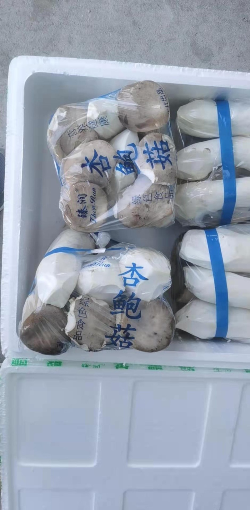 特级杏鲍菇，厂家直发