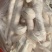 特级杏鲍菇，厂家直发