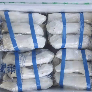 特级杏鲍菇，厂家直发