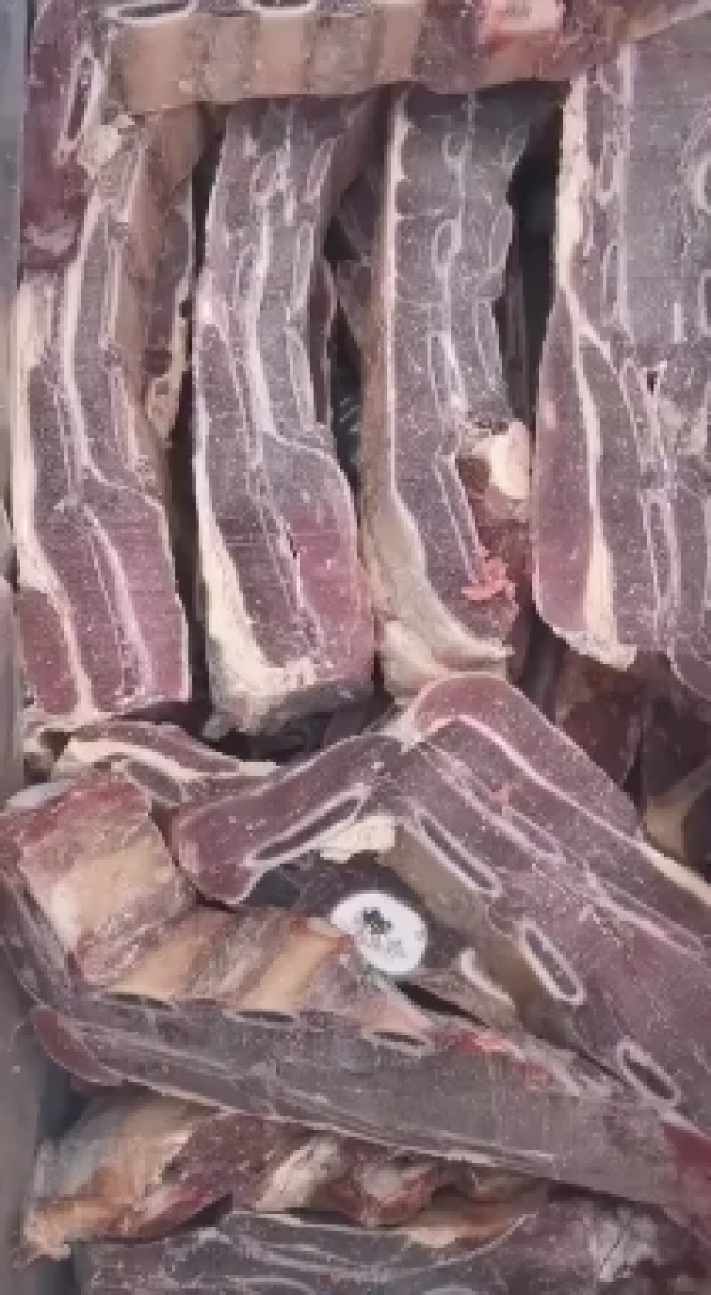 多肉牛排现货！支持样品发货！一手货源！诚信第一！