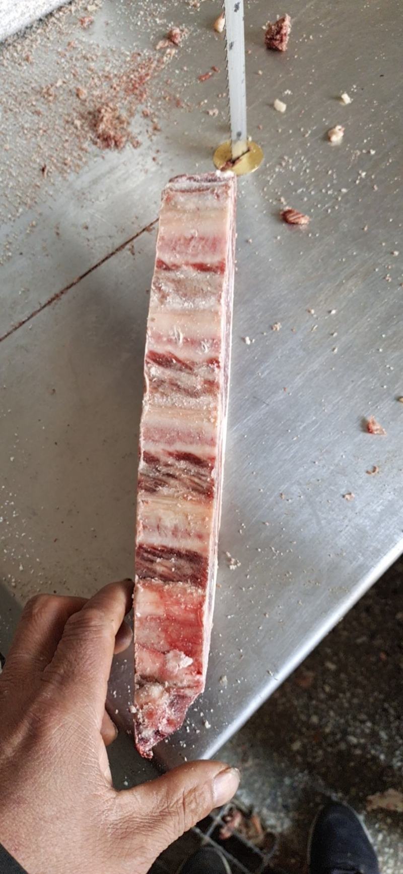 多肉牛排现货！支持样品发货！一手货源！诚信第一！