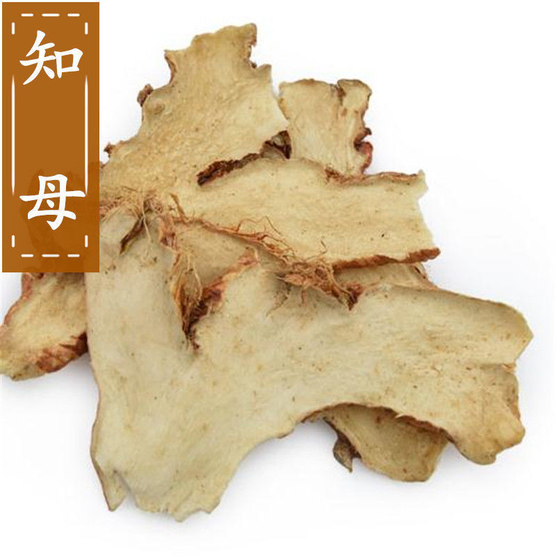 精选知母苗包种植技术上门指导经济效益高量大价优现苗