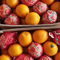 埃及橙进口新鲜甜橙酸橙
