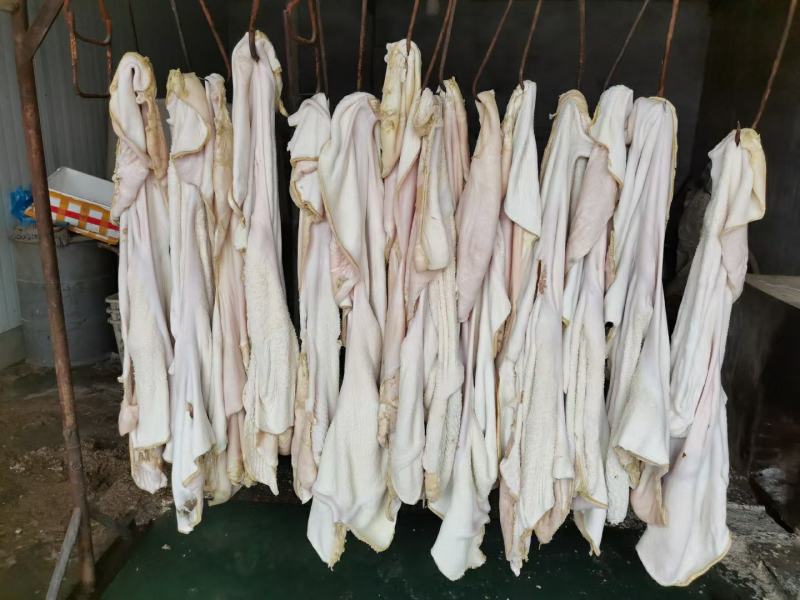 半成品牛肚干净无油质量很好