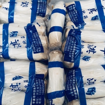 河北一手货源，一斤装杏鲍菇，面向全国批发