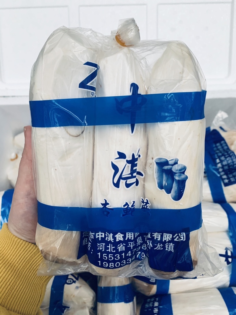 河北一手货源，一斤装杏鲍菇，面向全国批发