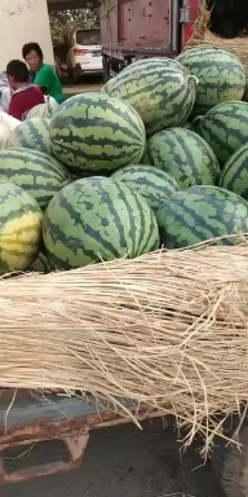 砀山县，甜王西瓜，大量上市了，货源充足，欢迎新老客户前来